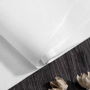 Papier de riz Xuan sans grilles pour la pratique de la calligraphie chinoise japonaise, 50 feuilles, écriture Sumi, dessin