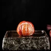 cérémonie du thé thé chinois pour animaux de compagnie, micro paysage à couleur changeante, modèle d'oranges en résine pour animaux de compagnie, ensemble de jeu de thé, accessoires