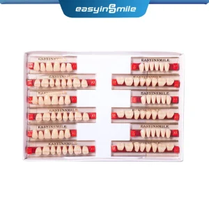 Dents dentaires fuchsia, modèle A1/A2/A3 de taille maximale standard, modèle supérieur et inférieur pour remplacement, bricolage Halloween