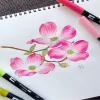 japon tombow ab t 10/12 pièces stylo pinceau de calligraphie professionnel double tête marqueur d'eau pour l'écriture peinture art fournitures