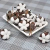 Fleurs naturelles séchées en coton Él, kapok pour salle de mariage, fournitures de décoration de Pâques, bouquet de couronne bricolage, boîte-cadeau