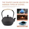 théière en fonte avec filtre, bouilloire à thé, théière en fonte résistante à la chaleur pour eau bouillante, artisanat traditionnel pour la maison