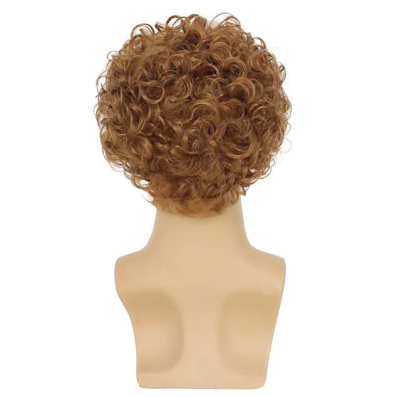perruque courte bouclée pour hommes, brun clair, cheveux synthétiques, à utiliser pour halloween, cosplay, costume, style disco pour hommes perruque courte bouclée pour hommes, brun clair, cheveux synthétiques, à utiliser pour halloween, cosplay, costume, style disco pour hommes