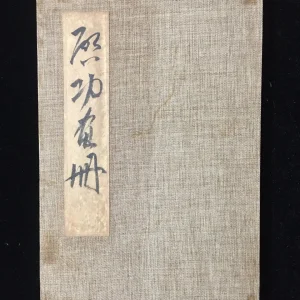 Calligraphie et peinture chinoise Vintage, Album dessiné à la main, peinture en bambou par Qi Gong Calligraphie et peinture chinoise Vintage, Album dessiné à la main, peinture en bambou par Qi Gong
