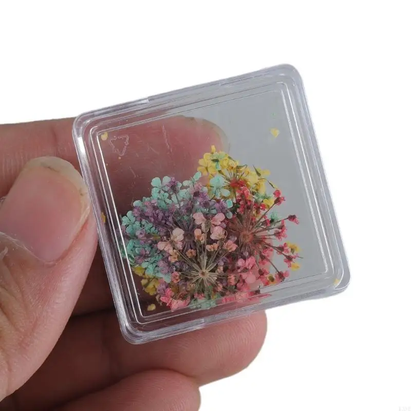 k3ne sèche fleurs séchées charmes ongles décorations artistiques charmes japonais k3ne sèche fleurs séchées charmes ongles décorations artistiques charmes japonais