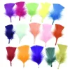 plumes de dinde colorées pour l'artisanat, petites plumes de 5 10cm, fabrication de bijoux, accessoires artisanaux de carnaval, décoration de fête de mariage