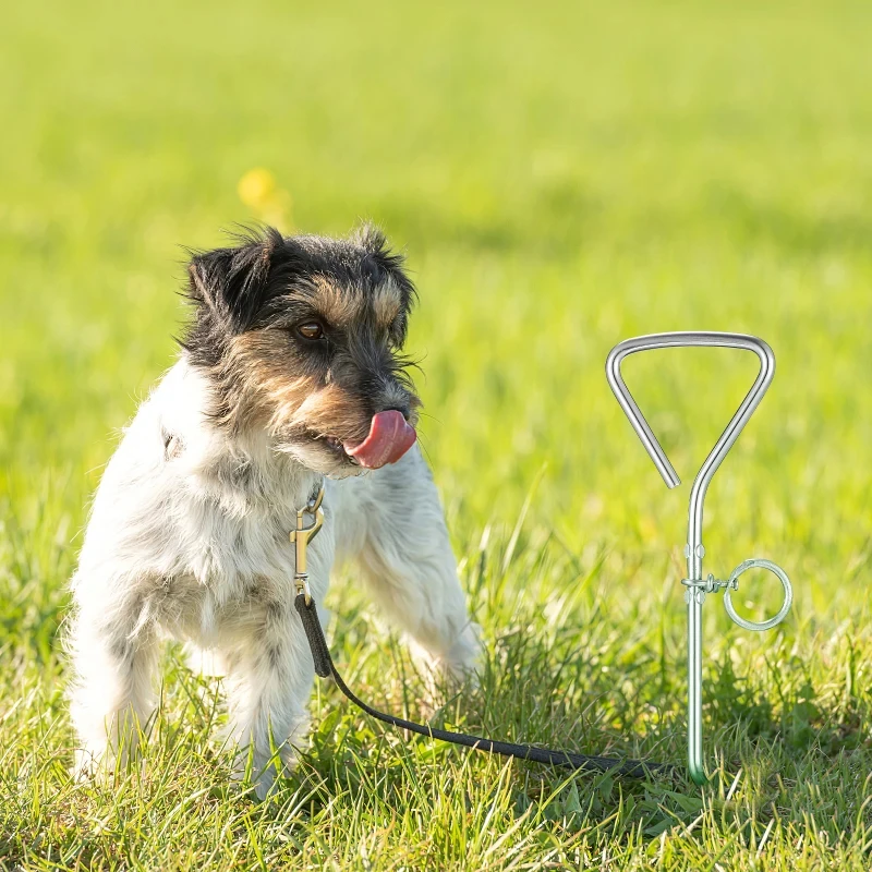 piquet d'attache pour chien, grands piquets pour chiens, pile fixe, laisse au sol, câble en fer robuste piquet d'attache pour chien, grands piquets pour chiens, pile fixe, laisse au sol, câble en fer robuste