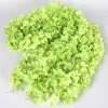 ficelle de vigne pour décoration de plafond, fausse fleur, pour fête de mariage, arche d'enroulement, mise en page carniva