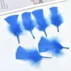 plumes de dinde colorées pour l'artisanat, petites plumes de 5 10cm, fabrication de bijoux, accessoires artisanaux de carnaval, décoration de fête de mariage