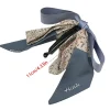 injplanchers f pince à cheveux avec nœud papillon pour filles, épingle à cheveux élégante, style coréen, ruban vertical, vêtements de sauna
