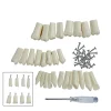 modèle de dents pour technicien dentaire, formation à la pratique et à l'étude, fe/dp, dents fuchsia, gomme molle, 28/32 dents