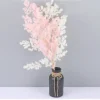 penglai – fleurs séchées naturelles, pin éternel, pour décoration de maison nordique, bouquet floral ming fern, plantes ornementales