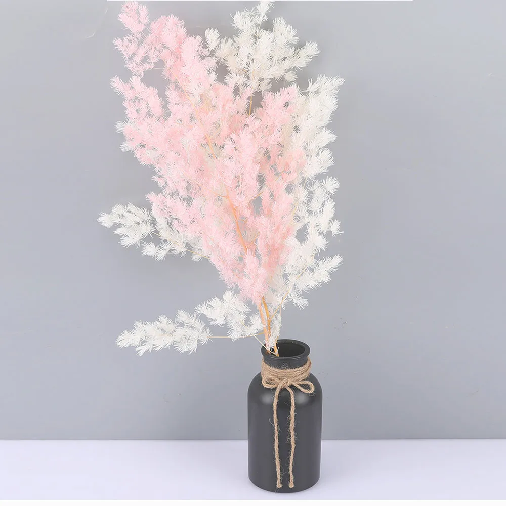 penglai – fleurs séchées naturelles, pin éternel, pour décoration de maison nordique, bouquet floral ming fern, plantes ornementales penglai – fleurs séchées naturelles, pin éternel, pour décoration de maison nordique, bouquet floral ming fern, plantes ornementales