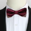 nministériels d papillon classique en métal scintillant pour homme, accessoire de style britannique, pré attaché