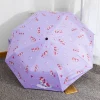parapluie pliant automatique à la mode, pare soleil nairobi orn, résistant au vent et à la pluie, parapluie de voyage, cadeau mignon