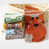 3 12t mignon garçons filles deux orteils tabi chaussettes enfants fendu pouce orteil chaussettes enfants dessin animé animaux imprimé pur coton chaussettes courtes
