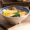 bol en mélamine de style japonais, soupe de nouilles en poudre, vaisselle en imitation porcelaine