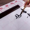 ensemble de pinceaux de calligraphie chinoise, avec boîte de rangement, peinture sumi, écriture, pinceau aquarelle d'art kanji, 6/9/12/16 pièces