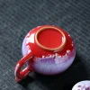 théières en céramique de style rétro japonais, théière kung fu en porcelaine, faites à la main, pots métropolitains uniques, service à thé, cadeau, 250ml, nouveau, 2025