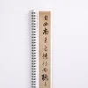 cahier de calligraphie classique zhao mengfu, running pier, stylo pinceau traditionnel, rick chinois, livre d'écriture de lutte