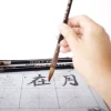ensemble de pinceaux de calligraphie en bois, stylo pinceau de peinture de calligraphie chinoise, poils de belette en laine, jetée régulière, pinceau d'écriture, l, s, m, 6 pièces
