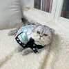 démon slayer animal de compagnie ver pilier printemps été chat vêtements ninja shinobu cosplay kimono chien shinobu vêtements