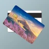 autocollants japonais de peau de carte de crédit sakura, pour carte bancaire, bus, carte de métro, cadeau étanche