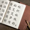 pinceau de calligraphie à encre chinoise pour étudiants, cahier de style ou, pinceau pier régulier simple, pratique de la calligraphie