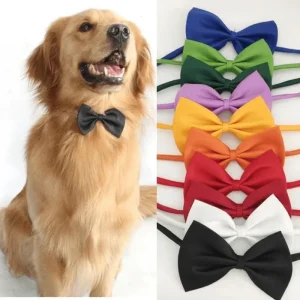 Collier à nœud papillon pour animaux de compagnie élégant et réglable : rend votre chien ou un chat fabuleux! Collier à nœud papillon pour animaux de compagnie élégant et réglable : rend votre chien ou un chat fabuleux!