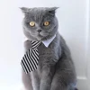 cravate à nœud papillon pour chiot, cravate réglable pour animaux de compagnie, collier formel pour chien pour petits chiens et chats, cravates de toilettage pour chiots