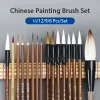 Ensemble de pinceaux de calligraphie pour peinture chinoise professionnelle, pinceau d&rsquo;écriture, cheveux naturels, pinceau d&rsquo;interconnexion en bambou, 16 pièces, 12 pièces, 9 pièces, 6 pièces