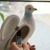 pigeon pochette pochette créative amusante décontractée polyvalente