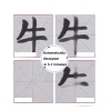 fournitures de peinture pour débutants, fournitures de calligraphie, tissu d'écriture à l'eau, rouleaux de calligraphie