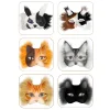 kit de masque therian masques vierges demi visage dessiné à la main animal chat renard masque bricolage à la main graffiti demi masque fête cadeaux de noël