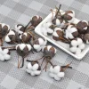 fleurs naturelles séchées en coton Él, kapok pour salle de mariage, fournitures de décoration de pâques, bouquet de couronne bricolage, boîte cadeau