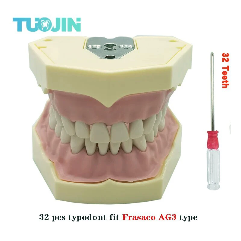 modèle de dents dentaires pour technicien dentaire, entraînement dentaire parfait, préparation à la pratique, 32 pièces, ag 3 fit modèle de dents dentaires pour technicien dentaire, entraînement dentaire parfait, préparation à la pratique, 32 pièces, ag 3 fit