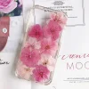 plantes de fleurs de sakura séchées pmurcia, herbier pour élection, bijoux en résine xy, maquillage pour le visage, bougie bricolage, 12 pièces, 3 4cm