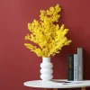penglai – fleurs séchées naturelles, pin éternel, pour décoration de maison nordique, bouquet floral ming fern, plantes ornementales