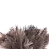 plumeau en plumes d'autruche naturelles, brosse à manche en bois, outil de livres antistatique, nettoyeur de poussière de voiture, meubles ménagers, 55cm
