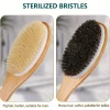 brosse de bain en bambou incurvée à long manche, brosse corporelle antidérapante pour exfolier, épurateur de douche à poils naturels pour un usage du dos humide ou d