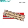 jeu de dents en résine composite dentaire, 28 pièces, remplacement complet de la bouche, prothèse dentaire en résine acrylique 22/23 ombres a2/a3, modèle d'enseignement de la dentisterie