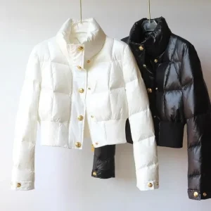 Veste d&rsquo;hiver courte coréenne haut de gamme pour femme, col montant, parka chaude, doudoune, manteau léger, extérieur, coupe-vent, bouton d&rsquo;oreiller