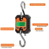 micro grue portable détachable industrielle, 100kg 250kg 50g, valise suspendue, crochet de pesée numérique, balance électronique, outil en acier