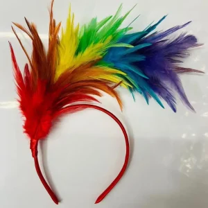 Bandes de sauna en plumes colorées vintage, design de plumes, accessoires de fête, danse, scène, spectacles, carnaval festif, vêtements de sauna