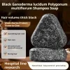 barre de shampoing pour la croissance des cheveux noirs à base de plantes, savon à base de plantes ganoderma polygonum multiflorum pour cheveux gras, contrôle des pellicules, ajoute du volume chaud