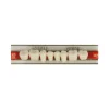 vvdental a1 a2 a3 dentaire résine synthétique dents prothèse dents supérieur antérieur inférieur dentier dents modèle d'éducation dentaire