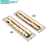 jeu de dents en résine composite dentaire, 28 pièces, remplacement complet de la bouche, prothèse dentaire en résine acrylique 22/23 ombres a2/a3, modèle d'enseignement de la dentisterie