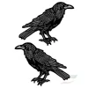 Écusson de corbeau brodé à repasser, décoration de vêtements