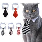 Cravate à nœud papillon pour chiot, cravate réglable pour animaux de compagnie, collier formel pour chien pour petits chiens et chats, cravates de toilettage pour chiots Cravate à nœud papillon pour chiot, cravate réglable pour animaux de compagnie, collier formel pour chien pour petits chiens et chats, cravates de toilettage pour chiots