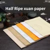 papier de calligraphie chinoise, papier xuan pastel wadang, papier de riz à moitié mûr, papier de couplet, papier décoré arroz